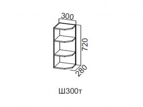 Ш300т/720 Шкаф навесной 300/720 (торцевой) в Осе - osa.магазин96.com | фото