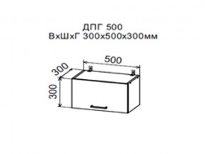 Шкаф верхний ДПГ500 горизонтальный в Осе - osa.магазин96.com | фото